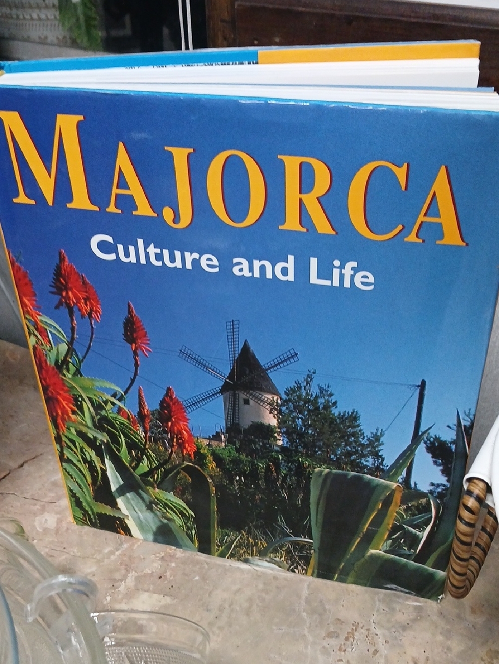Culture and Life Hard Back Book - Blue Cover